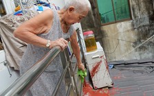 Đặc biệt trên báo in ngày 23.6.2016