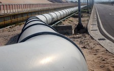 Gây cá chết hàng loạt ở biển miền Trung: Formosa nhận lỗi