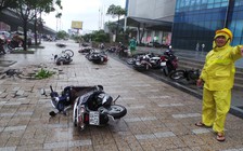 Bão không mạnh nhưng thiệt hại lớn