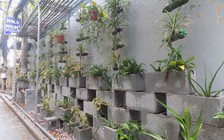 Biến bãi rác hôi thối thành vườn hoa xinh đẹp ở Hà Nội