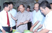 Tổ chức lại sản xuất nông nghiệp để nâng cao hiệu quả