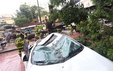 Đặc biệt trên báo in ngày 20.8.2016