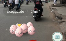 Cần Thơ xử phạt hơn 70 người chạy xe máy ‘săn’ Pokémon