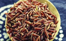 Những thực phẩm dễ tìm giúp tăng cơ hội thụ thai