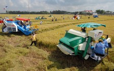 Nông nghiệp khó làm ăn lớn vì... thiếu đất