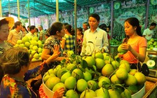 Khai hội thanh trà Huế