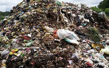 Chưa có kết luận về mùi hôi ở khu Nam