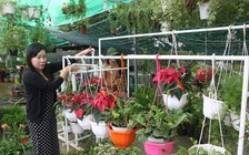 Tự tạo cơ hội: Bán hoa, cây cảnh qua mạng