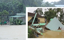 Đặc biệt trên báo in ngày 18.12.2016