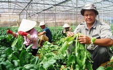Nông nghiệp soán 'ngôi vương' kênh đầu tư