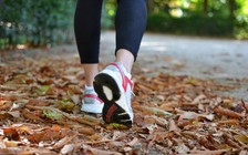 5 hoạt động thể chất dành cho người mắc bệnh tim