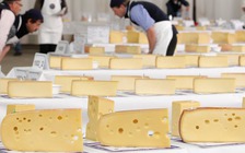 Phô mai nghi nhiễm khuẩn chết người tại Mỹ