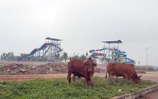 Tiền đâu làm siêu đô thị 15.000 ha?