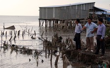 Gần 40 km đê biển sạt lở nghiêm trọng