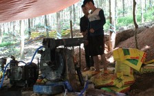 Bị phạt vì mua bán, vận chuyển, khai thác khoáng sản lậu