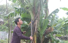 Làm lại cuộc đời sau khi thức tỉnh