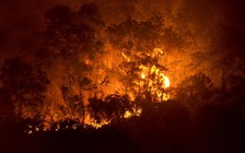 Điều tra nguyên nhân cháy rừng phòng hộ tại Hà Nội