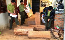 Số gỗ trong nhà trưởng ban quản lý rừng là quý hiếm
