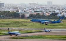 Vật nuôi chạy rông uy hiếp an toàn bay