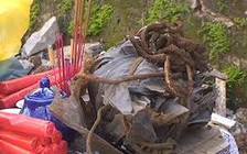 Mở rộng tìm kiếm hài cốt liệt sĩ trong khuôn viên bệnh viện