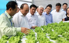 Khởi sắc nông nghiệp công nghệ cao tại Bình Phước