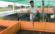 Kỹ sư công nghệ thông tin về nước... nuôi lươn