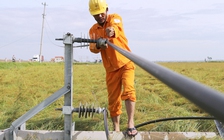 Xuyên đêm 'nối' điện tại tâm bão