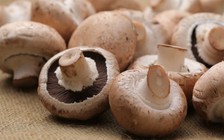Muốn ngăn ngừa lão hóa, nên ăn nấm?