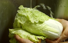 10 lợi ích bất ngờ từ cải bắc thảo