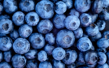 Quả việt quất giúp tăng hiệu quả xạ trị ung thư cổ tử cung