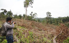Nhiều sai phạm trong quản lý đất đai, khoáng sản ở Lâm Đồng