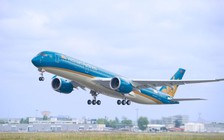 Vietnam Airlines nhận vận chuyển cành đào, cành mai dịp tết