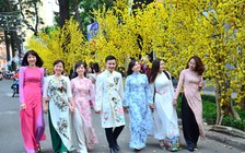 Khách quốc tế có thể thi Duyên dáng Áo dài TP.HCM