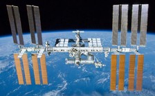 NASA gửi tinh trùng lên vũ trụ