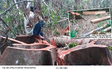 Đặc biệt trên báo in ngày 25.4.2018