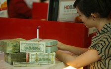 Tỷ giá linh hoạt, không tăng sốc