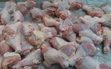 Bác thông tin 'gà mái đẻ' 40.000-50.000 đồng/kg là dành cho chó, mèo