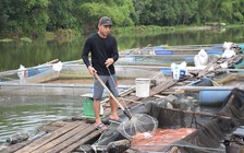 Khởi nghiệp từ sông nước