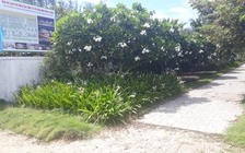 Đà Nẵng căng mình giải bài toán 'sửa sai'