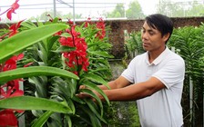 Nông nghiệp công nghệ cao 'khát' vốn