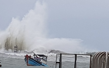 Đặc biệt trên báo in ngày 25.11.2018