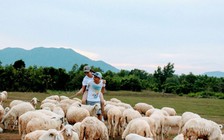 Bạn trẻ về Suối Nghệ 'chăn cừu' tìm khoảng lặng