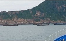 Tạm giữ 7 tàu Trung Quốc chở gần 500 tấn hàng đông lạnh