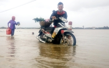 Nhiều khu dân cư cuối nguồn sông Côn bị chia cắt do ngập lụt