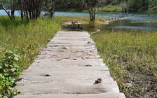 Đặc biệt trên báo in ngày 22.1.2019