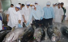 Thẻ vàng IUU có thể phải chờ đến tháng 6