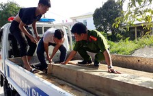 Gỗ lậu trong vườn nhà