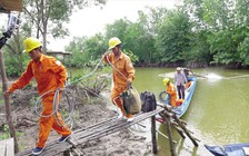 Tăng cường cấp điện phục vụ phát triển kinh tế - xã hội