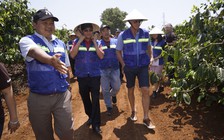 Tăng giá trị cà phê Việt ra thế giới