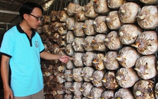 Khởi nghiệp với nấm và ba ba